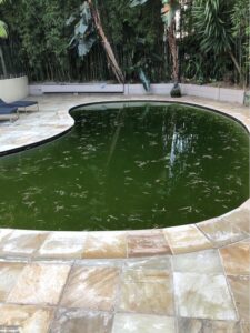 swimming pool repair