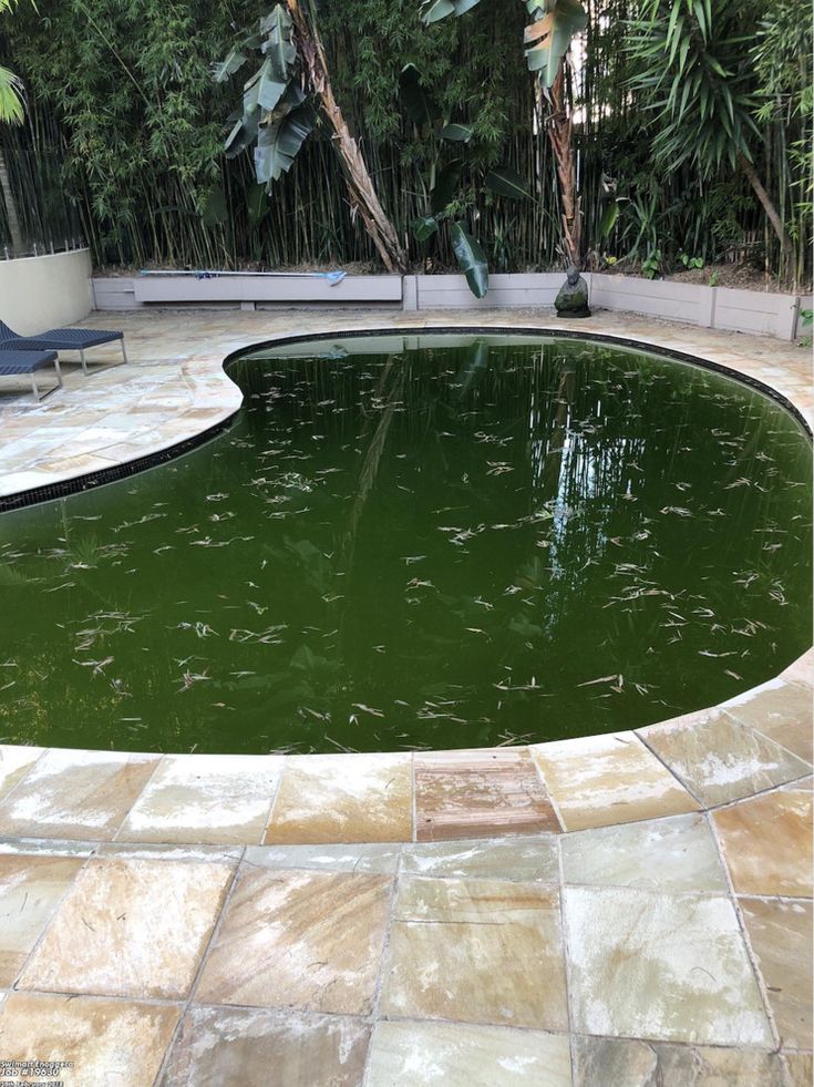 swimming pool repair